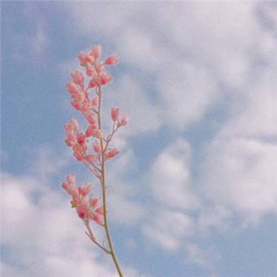 阴阳师妖怪屋百度版下载